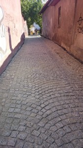 11891137_883201435082466_1627068096847536786_n