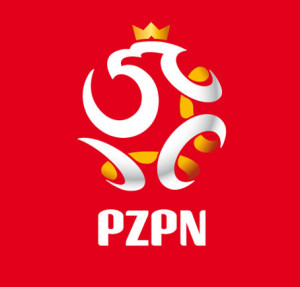 logo_pzpn2